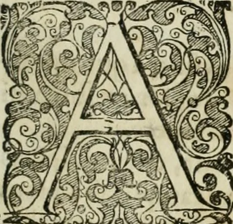 An illustration from Opera historica et philologica, sacra et profana. In quibus historia Boica, res augustanae, conversio & passio ss. martyrum Afrae, Hilariae, Dignae [et al.] ... continentur, 1682, leaf 316