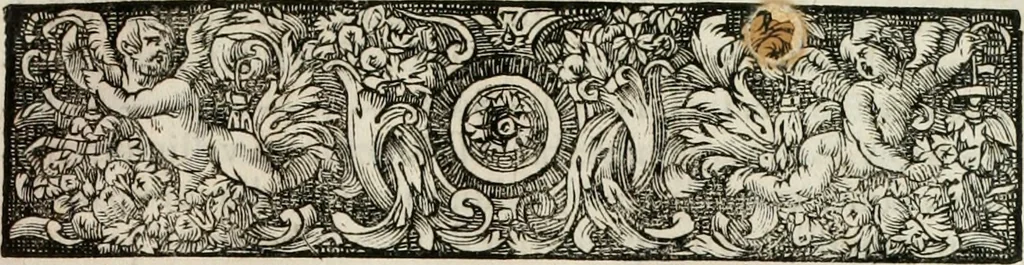 An illustration from Opera historica et philologica, sacra et profana. In quibus historia Boica, res augustanae, conversio & passio ss. martyrum Afrae, Hilariae, Dignae [et al.] ... continentur, 1682, leaf 332