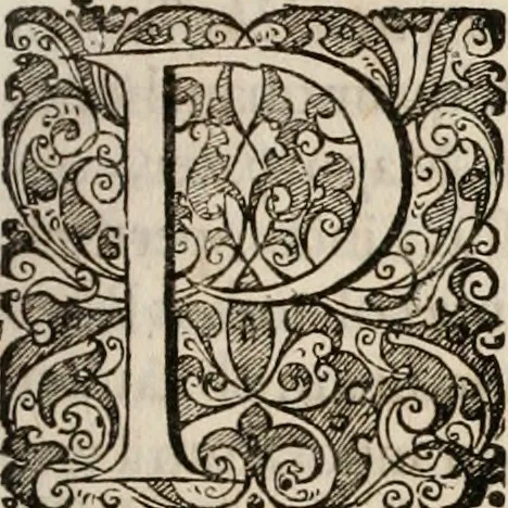 An illustration from Opera historica et philologica, sacra et profana. In quibus historia Boica, res augustanae, conversio & passio ss. martyrum Afrae, Hilariae, Dignae [et al.] ... continentur, 1682, leaf 332