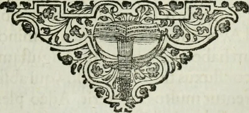 An illustration from Opera historica et philologica, sacra et profana. In quibus historia Boica, res augustanae, conversio & passio ss. martyrum Afrae, Hilariae, Dignae [et al.] ... continentur, 1682, leaf 344
