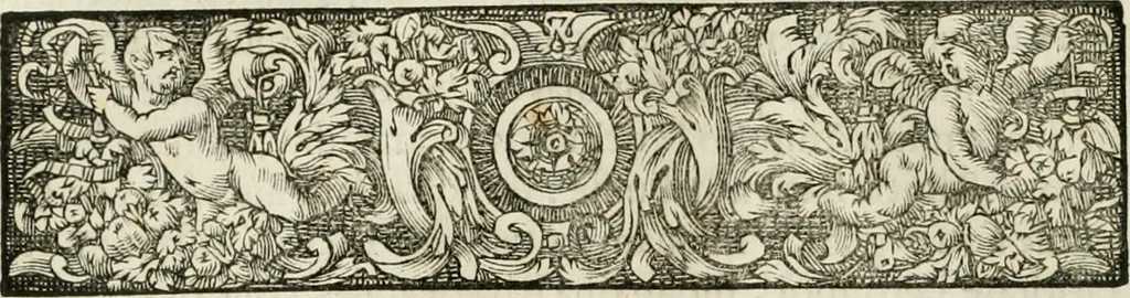 An illustration from Opera historica et philologica, sacra et profana. In quibus historia Boica, res augustanae, conversio & passio ss. martyrum Afrae, Hilariae, Dignae [et al.] ... continentur, 1682, leaf 345