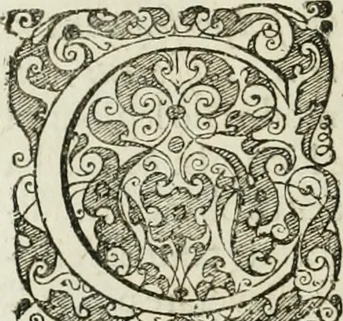 An illustration from Opera historica et philologica, sacra et profana. In quibus historia Boica, res augustanae, conversio & passio ss. martyrum Afrae, Hilariae, Dignae [et al.] ... continentur, 1682, leaf 345