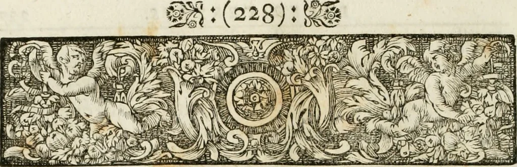 An illustration from Opera historica et philologica, sacra et profana. In quibus historia Boica, res augustanae, conversio & passio ss. martyrum Afrae, Hilariae, Dignae [et al.] ... continentur, 1682, leaf 363
