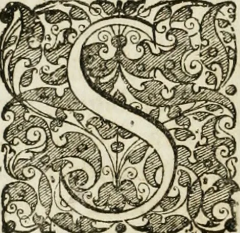An illustration from Opera historica et philologica, sacra et profana. In quibus historia Boica, res augustanae, conversio & passio ss. martyrum Afrae, Hilariae, Dignae [et al.] ... continentur, 1682, leaf 363