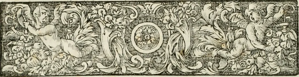 An illustration from Opera historica et philologica, sacra et profana. In quibus historia Boica, res augustanae, conversio & passio ss. martyrum Afrae, Hilariae, Dignae [et al.] ... continentur, 1682, leaf 387