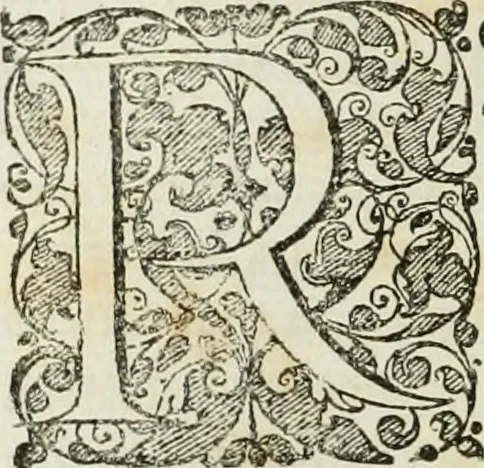 An illustration from Opera historica et philologica, sacra et profana. In quibus historia Boica, res augustanae, conversio & passio ss. martyrum Afrae, Hilariae, Dignae [et al.] ... continentur, 1682, leaf 387