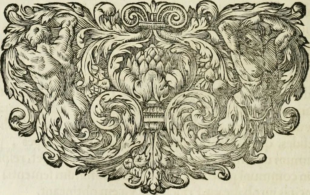 An illustration from Opera historica et philologica, sacra et profana. In quibus historia Boica, res augustanae, conversio & passio ss. martyrum Afrae, Hilariae, Dignae [et al.] ... continentur, 1682, leaf 417