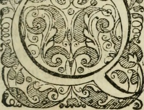 An illustration from Opera historica et philologica, sacra et profana. In quibus historia Boica, res augustanae, conversio & passio ss. martyrum Afrae, Hilariae, Dignae [et al.] ... continentur, 1682, leaf 418