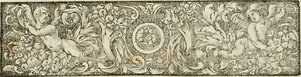 An illustration from Opera historica et philologica, sacra et profana. In quibus historia Boica, res augustanae, conversio & passio ss. martyrum Afrae, Hilariae, Dignae [et al.] ... continentur, 1682, leaf 443