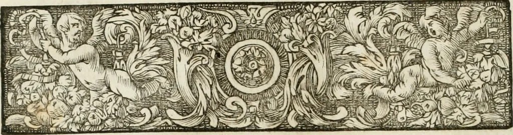 An illustration from Opera historica et philologica, sacra et profana. In quibus historia Boica, res augustanae, conversio & passio ss. martyrum Afrae, Hilariae, Dignae [et al.] ... continentur, 1682, leaf 461