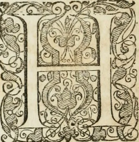 An illustration from Opera historica et philologica, sacra et profana. In quibus historia Boica, res augustanae, conversio & passio ss. martyrum Afrae, Hilariae, Dignae [et al.] ... continentur, 1682, leaf 461