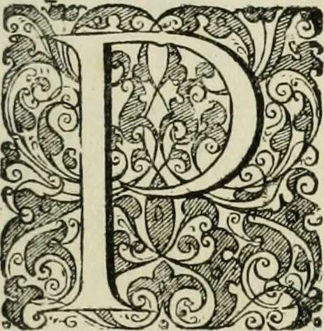 An illustration from Opera historica et philologica, sacra et profana. In quibus historia Boica, res augustanae, conversio & passio ss. martyrum Afrae, Hilariae, Dignae [et al.] ... continentur, 1682, leaf 494