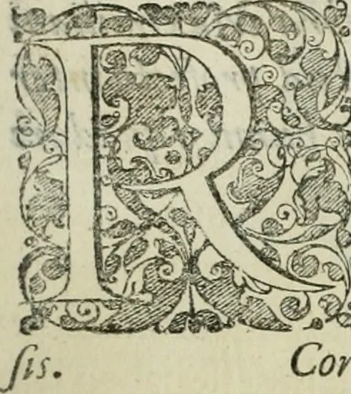 An illustration from Opera historica et philologica, sacra et profana. In quibus historia Boica, res augustanae, conversio & passio ss. martyrum Afrae, Hilariae, Dignae [et al.] ... continentur, 1682, leaf 496
