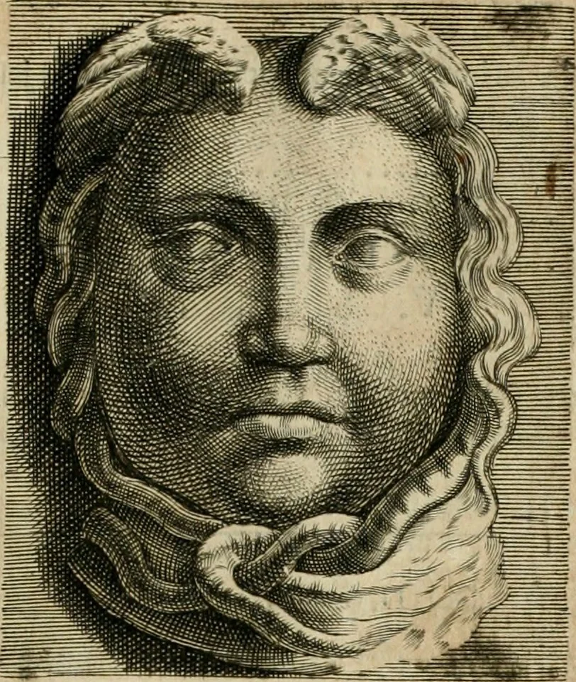 An illustration from Opera historica et philologica, sacra et profana. In quibus historia Boica, res augustanae, conversio & passio ss. martyrum Afrae, Hilariae, Dignae [et al.] ... continentur, 1682, leaf 508