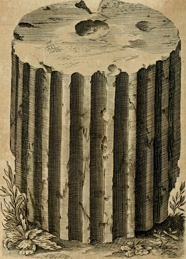 An illustration from Opera historica et philologica, sacra et profana. In quibus historia Boica, res augustanae, conversio & passio ss. martyrum Afrae, Hilariae, Dignae [et al.] ... continentur, 1682, leaf 509
