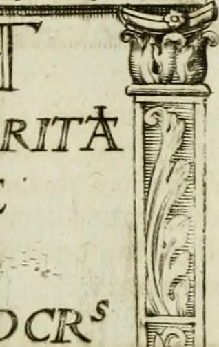 An illustration from Opera historica et philologica, sacra et profana. In quibus historia Boica, res augustanae, conversio & passio ss. martyrum Afrae, Hilariae, Dignae [et al.] ... continentur, 1682, leaf 514