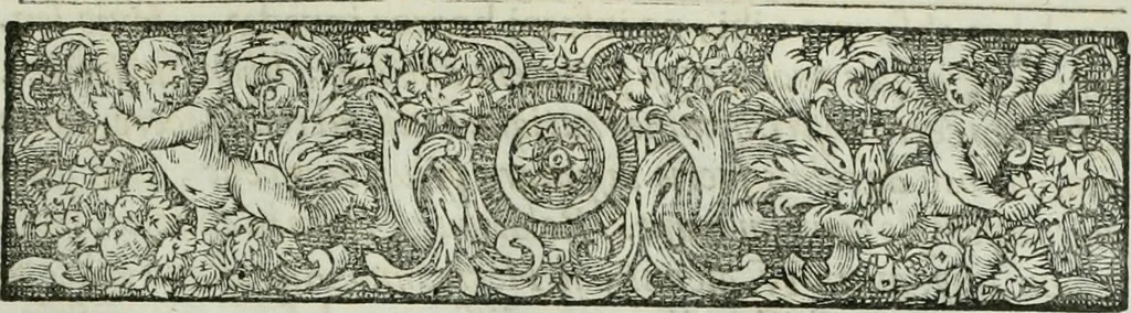 An illustration from Opera historica et philologica, sacra et profana. In quibus historia Boica, res augustanae, conversio & passio ss. martyrum Afrae, Hilariae, Dignae [et al.] ... continentur, 1682, leaf 574