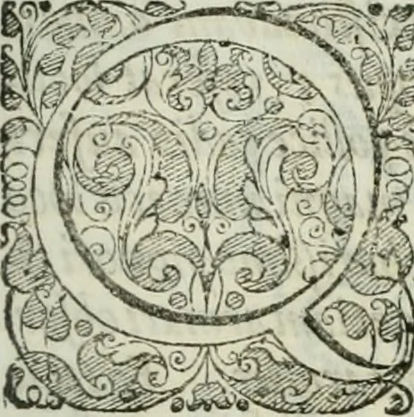 An illustration from Opera historica et philologica, sacra et profana. In quibus historia Boica, res augustanae, conversio & passio ss. martyrum Afrae, Hilariae, Dignae [et al.] ... continentur, 1682, leaf 574