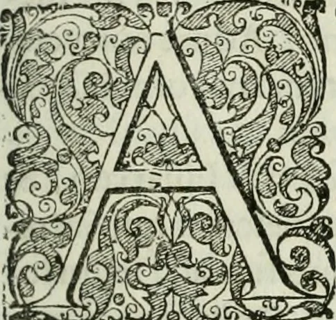 An illustration from Opera historica et philologica, sacra et profana. In quibus historia Boica, res augustanae, conversio & passio ss. martyrum Afrae, Hilariae, Dignae [et al.] ... continentur, 1682, leaf 576