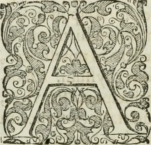 An illustration from Opera historica et philologica, sacra et profana. In quibus historia Boica, res augustanae, conversio & passio ss. martyrum Afrae, Hilariae, Dignae [et al.] ... continentur, 1682, leaf 581