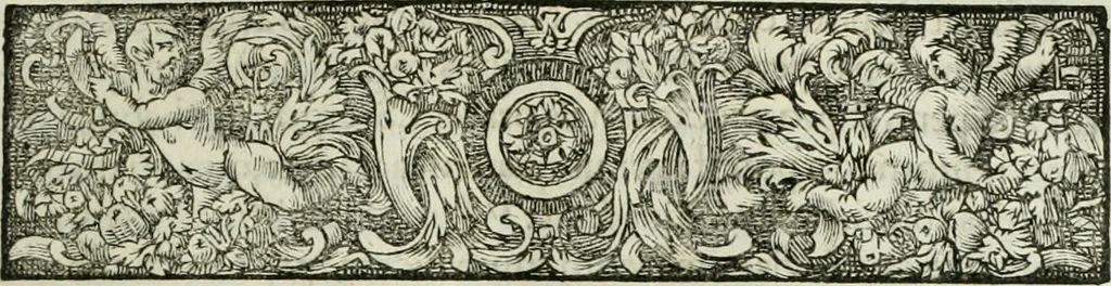 An illustration from Opera historica et philologica, sacra et profana. In quibus historia Boica, res augustanae, conversio & passio ss. martyrum Afrae, Hilariae, Dignae [et al.] ... continentur, 1682, leaf 612
