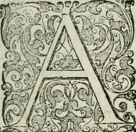 An illustration from Opera historica et philologica, sacra et profana. In quibus historia Boica, res augustanae, conversio & passio ss. martyrum Afrae, Hilariae, Dignae [et al.] ... continentur, 1682, leaf 612