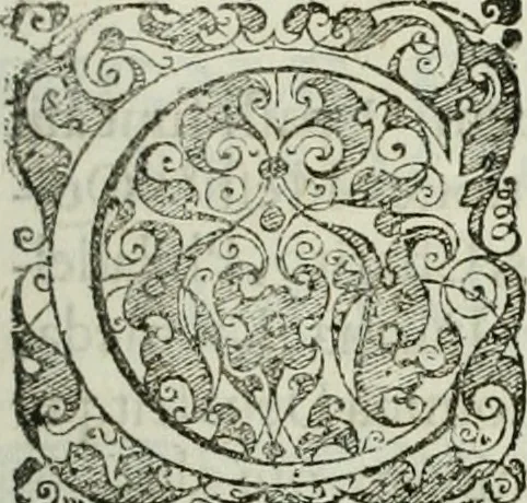 An illustration from Opera historica et philologica, sacra et profana. In quibus historia Boica, res augustanae, conversio & passio ss. martyrum Afrae, Hilariae, Dignae [et al.] ... continentur, 1682, leaf 614