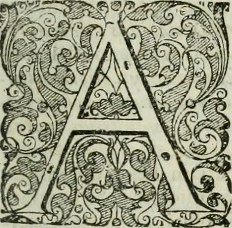 An illustration from Opera historica et philologica, sacra et profana. In quibus historia Boica, res augustanae, conversio & passio ss. martyrum Afrae, Hilariae, Dignae [et al.] ... continentur, 1682, leaf 616