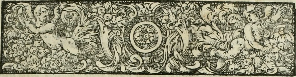 An illustration from Opera historica et philologica, sacra et profana. In quibus historia Boica, res augustanae, conversio & passio ss. martyrum Afrae, Hilariae, Dignae [et al.] ... continentur, 1682, leaf 642