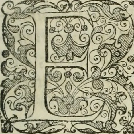 An illustration from Opera historica et philologica, sacra et profana. In quibus historia Boica, res augustanae, conversio & passio ss. martyrum Afrae, Hilariae, Dignae [et al.] ... continentur, 1682, leaf 642