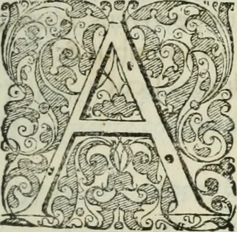 An illustration from Opera historica et philologica, sacra et profana. In quibus historia Boica, res augustanae, conversio & passio ss. martyrum Afrae, Hilariae, Dignae [et al.] ... continentur, 1682, leaf 650