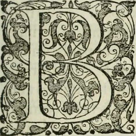 An illustration from Opera historica et philologica, sacra et profana. In quibus historia Boica, res augustanae, conversio & passio ss. martyrum Afrae, Hilariae, Dignae [et al.] ... continentur, 1682, leaf 654