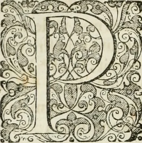 An illustration from Opera historica et philologica, sacra et profana. In quibus historia Boica, res augustanae, conversio & passio ss. martyrum Afrae, Hilariae, Dignae [et al.] ... continentur, 1682, leaf 709