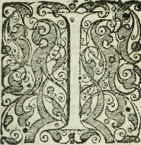 An illustration from Opera historica et philologica, sacra et profana. In quibus historia Boica, res augustanae, conversio & passio ss. martyrum Afrae, Hilariae, Dignae [et al.] ... continentur, 1682, leaf 722