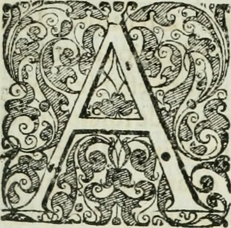 An illustration from Opera historica et philologica, sacra et profana. In quibus historia Boica, res augustanae, conversio & passio ss. martyrum Afrae, Hilariae, Dignae [et al.] ... continentur, 1682, leaf 726