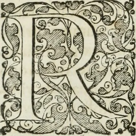 An illustration from Opera historica et philologica, sacra et profana. In quibus historia Boica, res augustanae, conversio & passio ss. martyrum Afrae, Hilariae, Dignae [et al.] ... continentur, 1682, leaf 731