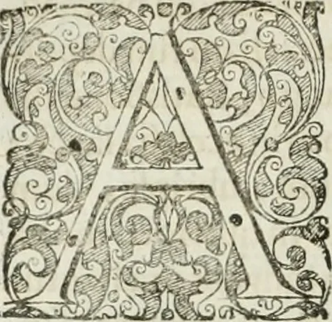 An illustration from Opera historica et philologica, sacra et profana. In quibus historia Boica, res augustanae, conversio & passio ss. martyrum Afrae, Hilariae, Dignae [et al.] ... continentur, 1682, leaf 753