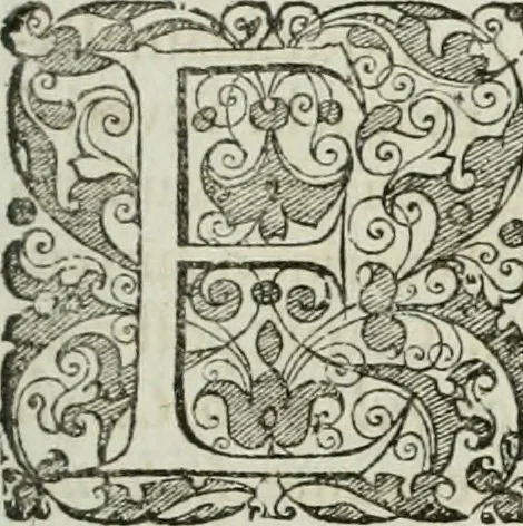 An illustration from Opera historica et philologica, sacra et profana. In quibus historia Boica, res augustanae, conversio & passio ss. martyrum Afrae, Hilariae, Dignae [et al.] ... continentur, 1682, leaf 766