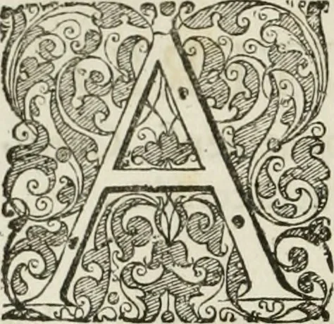 An illustration from Opera historica et philologica, sacra et profana. In quibus historia Boica, res augustanae, conversio & passio ss. martyrum Afrae, Hilariae, Dignae [et al.] ... continentur, 1682, leaf 767
