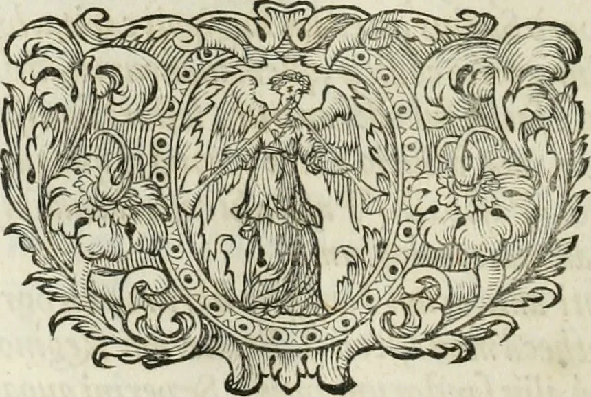 An illustration from Opera historica et philologica, sacra et profana. In quibus historia Boica, res augustanae, conversio & passio ss. martyrum Afrae, Hilariae, Dignae [et al.] ... continentur, 1682, leaf 769