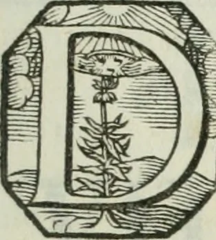 An illustration from Opera historica et philologica, sacra et profana. In quibus historia Boica, res augustanae, conversio & passio ss. martyrum Afrae, Hilariae, Dignae [et al.] ... continentur, 1682, leaf 770