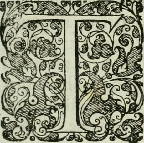 An illustration from Opera historica et philologica, sacra et profana. In quibus historia Boica, res augustanae, conversio & passio ss. martyrum Afrae, Hilariae, Dignae [et al.] ... continentur, 1682, leaf 772