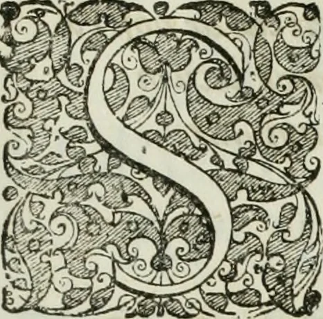 An illustration from Opera historica et philologica, sacra et profana. In quibus historia Boica, res augustanae, conversio & passio ss. martyrum Afrae, Hilariae, Dignae [et al.] ... continentur, 1682, leaf 814