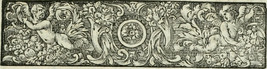 An illustration from Opera historica et philologica, sacra et profana. In quibus historia Boica, res augustanae, conversio & passio ss. martyrum Afrae, Hilariae, Dignae [et al.] ... continentur, 1682, leaf 816