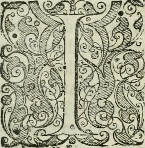An illustration from Opera historica et philologica, sacra et profana. In quibus historia Boica, res augustanae, conversio & passio ss. martyrum Afrae, Hilariae, Dignae [et al.] ... continentur, 1682, leaf 816