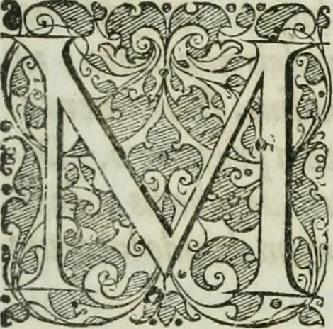 An illustration from Opera historica et philologica, sacra et profana. In quibus historia Boica, res augustanae, conversio & passio ss. martyrum Afrae, Hilariae, Dignae [et al.] ... continentur, 1682, leaf 844