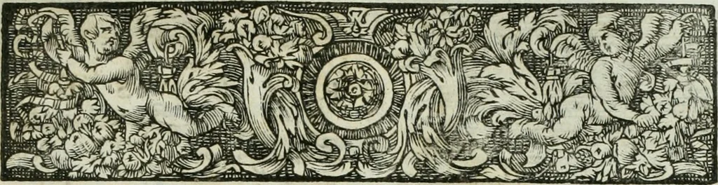 An illustration from Opera historica et philologica, sacra et profana. In quibus historia Boica, res augustanae, conversio & passio ss. martyrum Afrae, Hilariae, Dignae [et al.] ... continentur, 1682, leaf 852