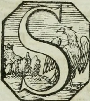 An illustration from Opera historica et philologica, sacra et profana. In quibus historia Boica, res augustanae, conversio & passio ss. martyrum Afrae, Hilariae, Dignae [et al.] ... continentur, 1682, leaf 852