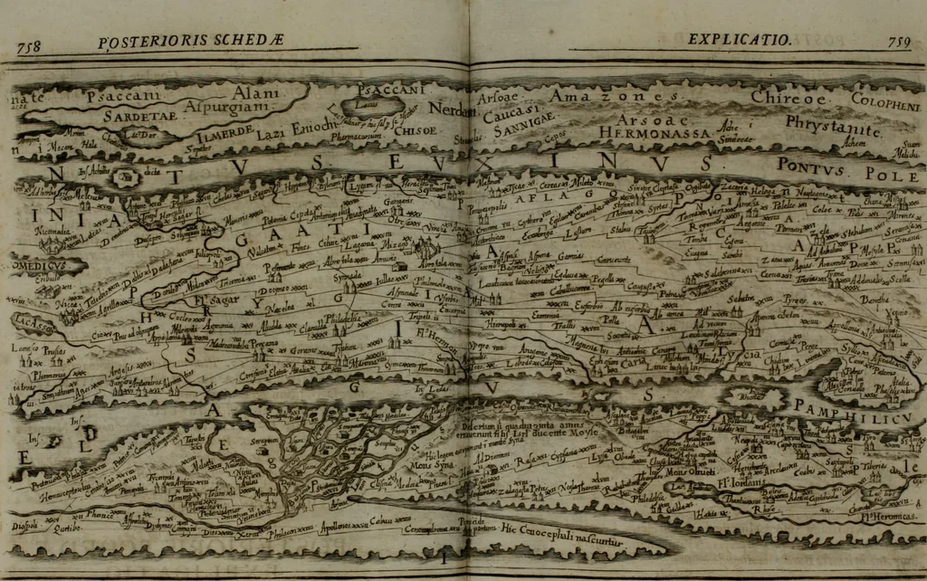 An illustration from Opera historica et philologica, sacra et profana. In quibus historia Boica, res augustanae, conversio & passio ss. martyrum Afrae, Hilariae, Dignae [et al.] ... continentur, 1682, leaf 893