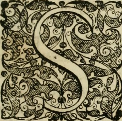 An illustration from Opera historica et philologica, sacra et profana. In quibus historia Boica, res augustanae, conversio & passio ss. martyrum Afrae, Hilariae, Dignae [et al.] ... continentur, 1682, leaf 922